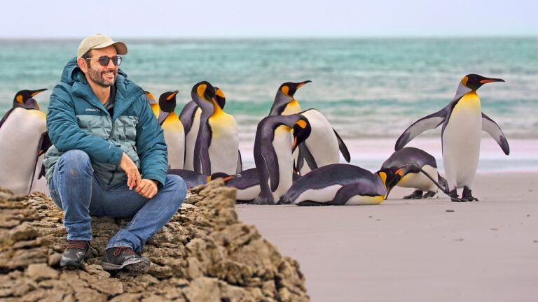 A ILHA com UM MILHÃO de PINGUINS! #Boravê