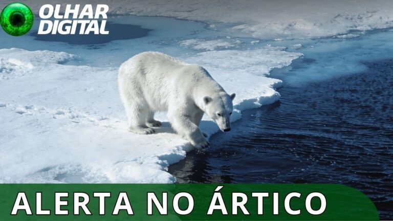 Ártico entra em uma “nova era” de extremos climáticos sem precedentes