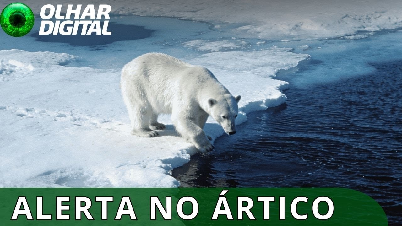 Ártico entra em uma “nova era” de extremos climáticos sem precedentes