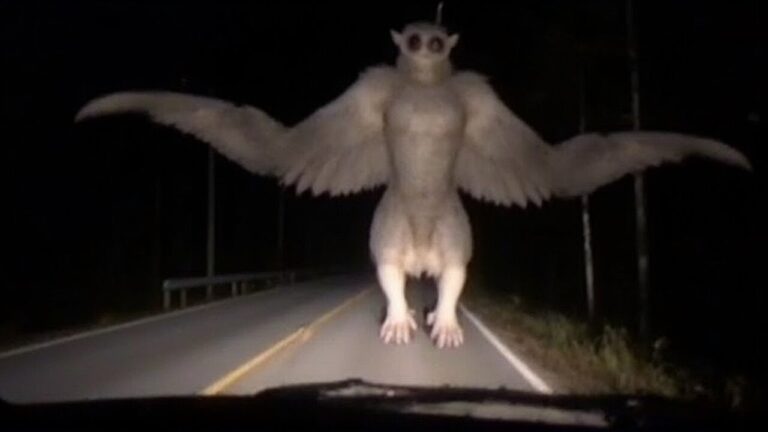 Descobriram as criaturas reais por trás das lendas mais assustadoras dos Apalaches