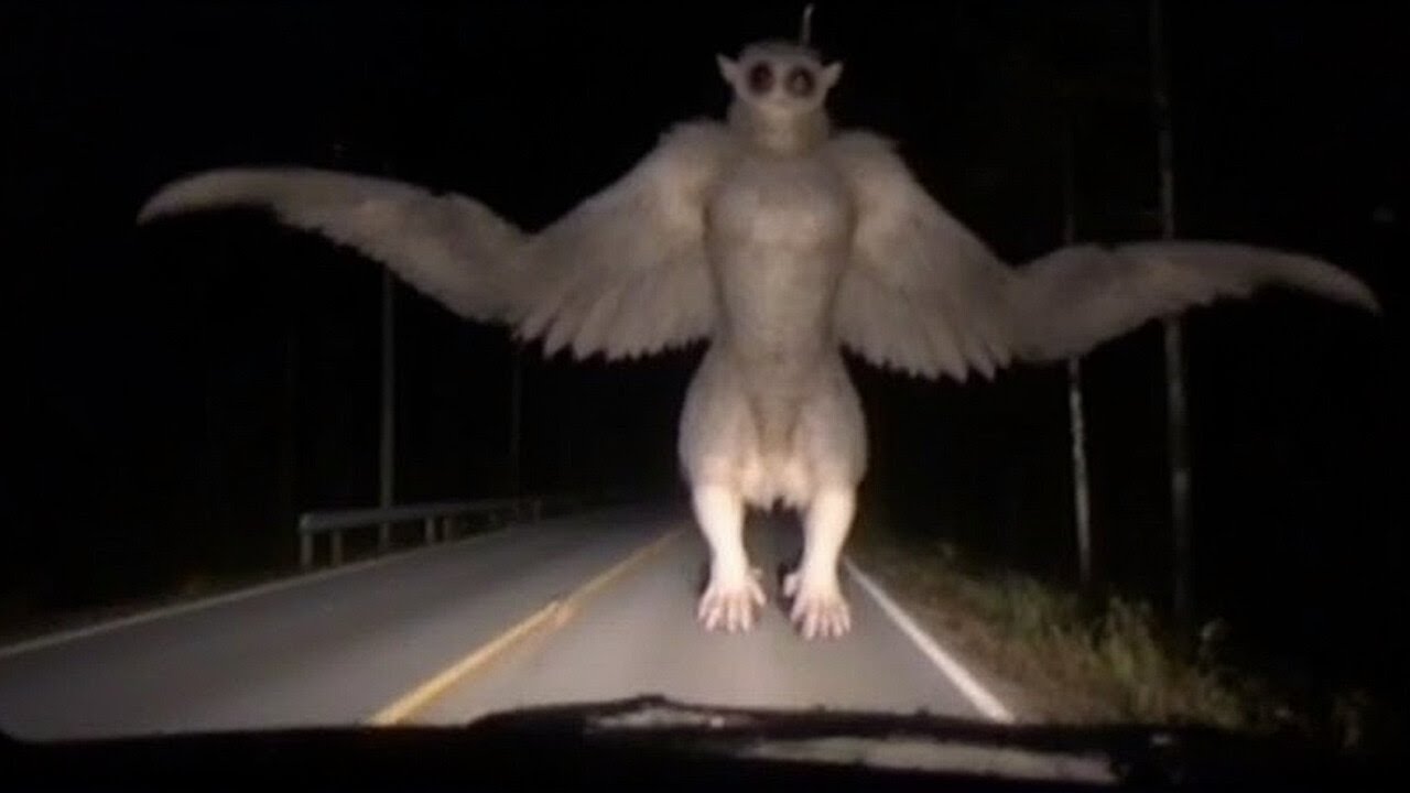 Descobriram as criaturas reais por trás das lendas mais assustadoras dos Apalaches