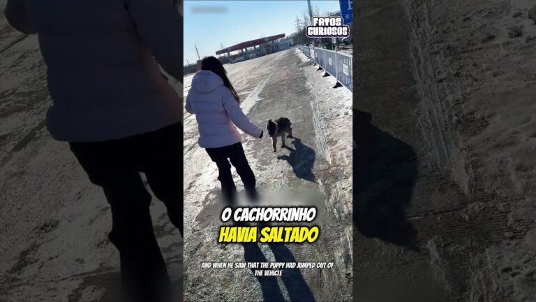 A ATITUDE DESSA GAROTA AO ENCONTRAR ESSE CACHORRINHO PERDIDO EMOCIONOU A TODOS