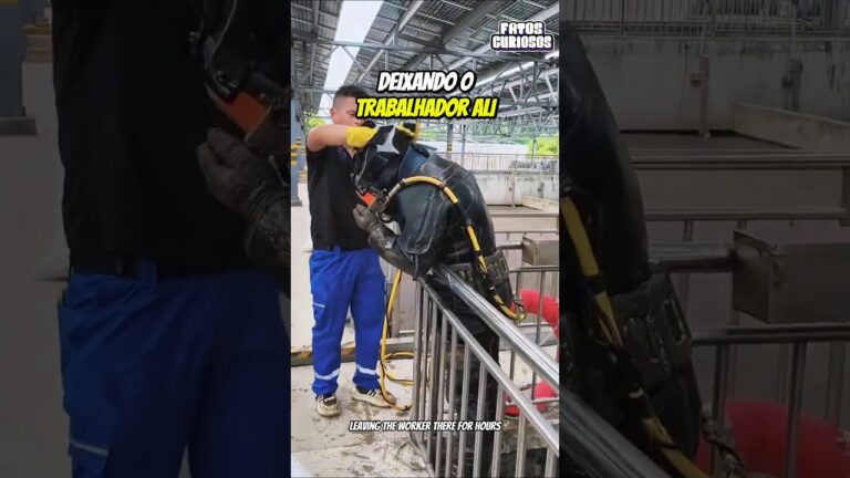 ESSE É UM DOS TRABALHOS MAIS EXTREMOS DO MUNDO 🤢