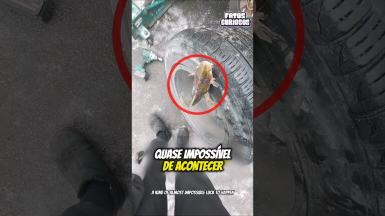 ESSE GAROTO ENCONTROU ALGO QUE CHOCARIA A TODOS