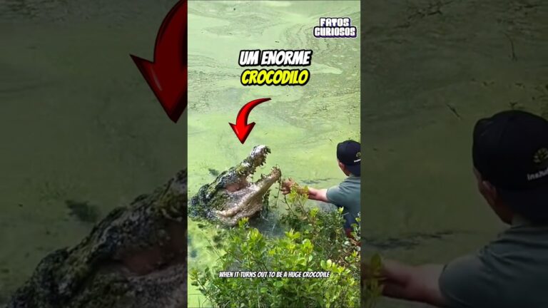 ESSE GAROTO IMPRESSIONOU A TODOS AO TER UM CROCODILO DE ESTIMAÇÃO