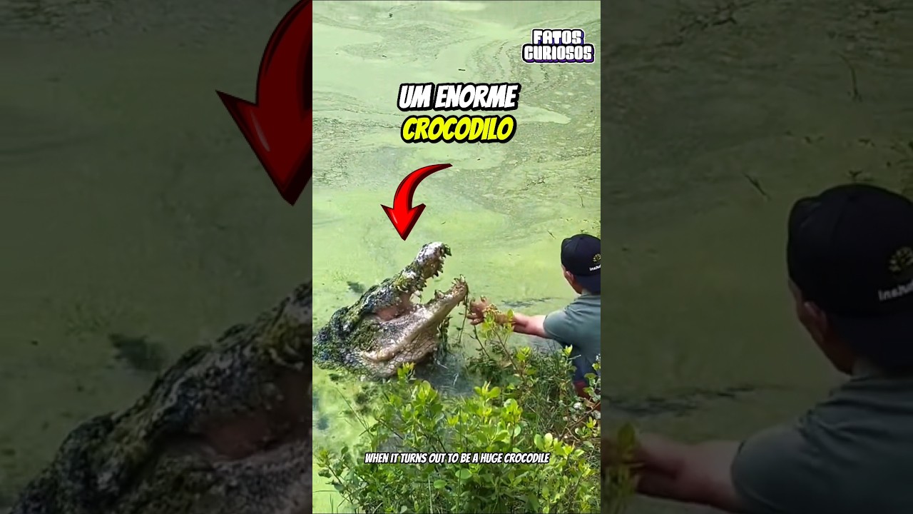 ESSE GAROTO IMPRESSIONOU A TODOS AO TER UM CROCODILO DE ESTIMAÇÃO