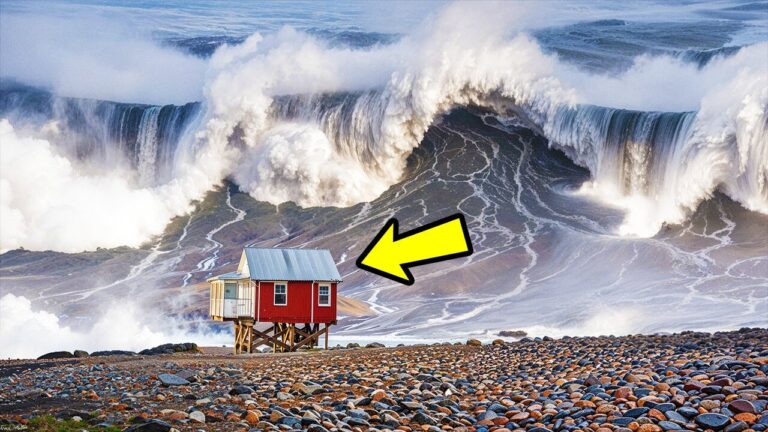 Esse tsunami foi enorme, mas a parte mais assustadora veio depois