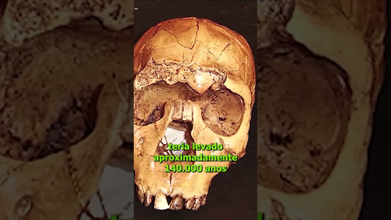 Fósseis chineses reacendem debate sobre evolução humana