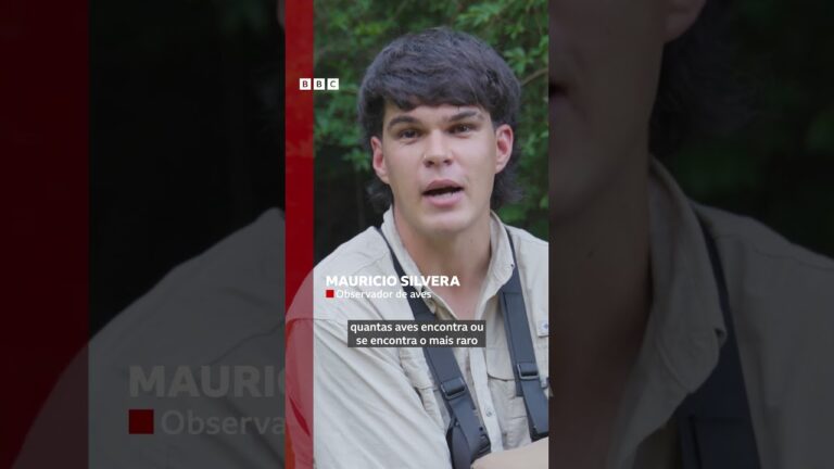 Jovem uruguaio faz registro raro de ave que se camufla