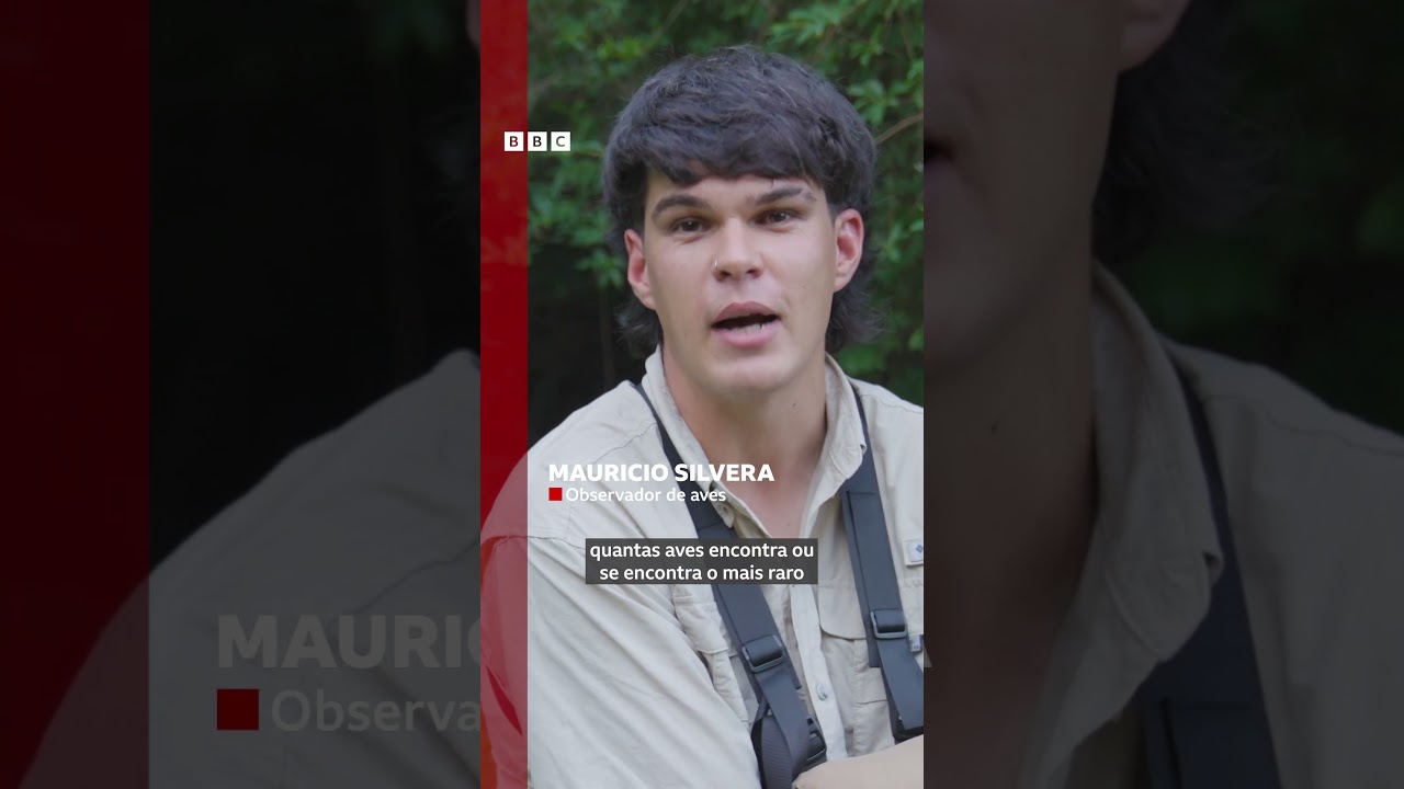 Jovem uruguaio faz registro raro de ave que se camufla