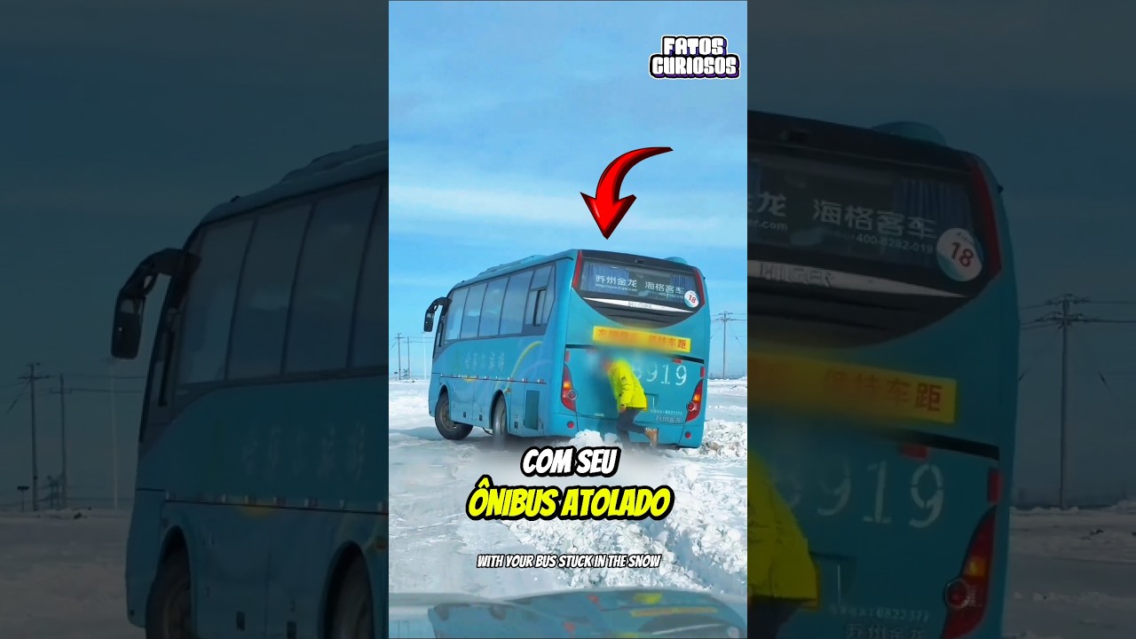 O Nobre Ato De Gentileza Dessa Garota Conquistou Vários Corações