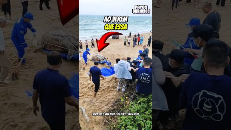 O NOBRE ATO DE HEROÍSMO DESSAS PESSOAS SALVARAM O DIA