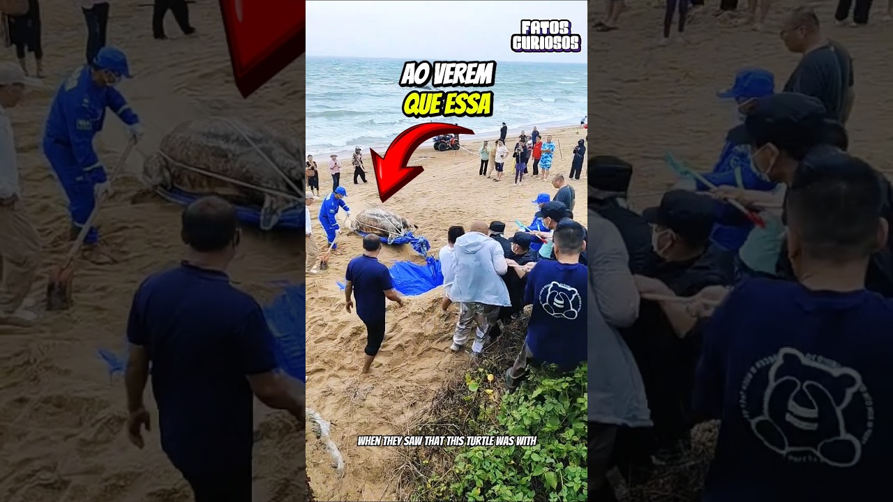 O NOBRE ATO DE HEROÍSMO DESSAS PESSOAS SALVARAM O DIA