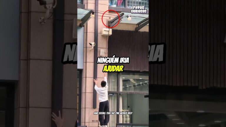 O PEDIDO DE AJUDA SILENCIOSO DESSE GATINHO EMOCIONOU A TODOS