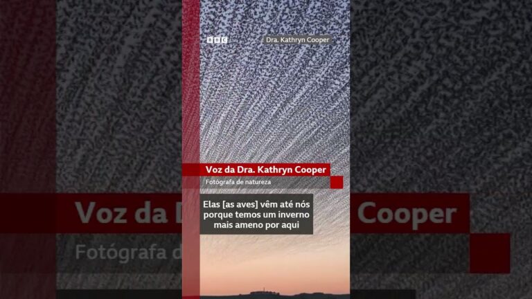 O show deslumbrante de estorninhos nos céus da Inglaterra