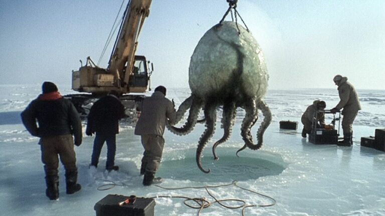 Ovo antigo descoberto na Antártica data de 66 milhões de anos atrás