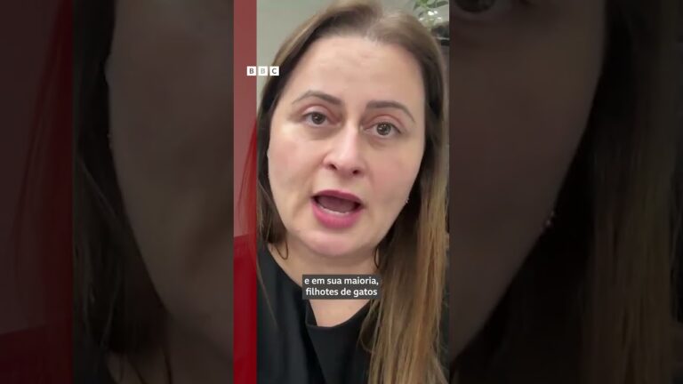 Policial: 'Orelha foi escolhido porque era um cão idoso, bonzinho'