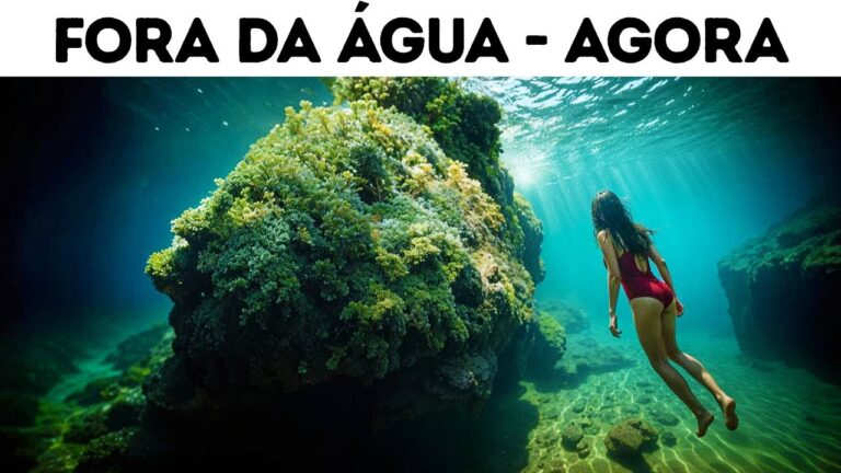 Você não pode escapar deste predador – e nem sequer o verá chegar