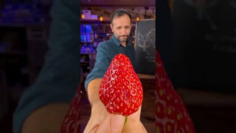 Você NÃO SABE quantos FRUTOS tem UM MORANGO!