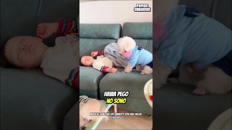 🥺 O GESTO MAIS NOBRE QUE VOCÊ VAI VER HOJE! O amor desse cachorro pelo menino... ❤️🐾