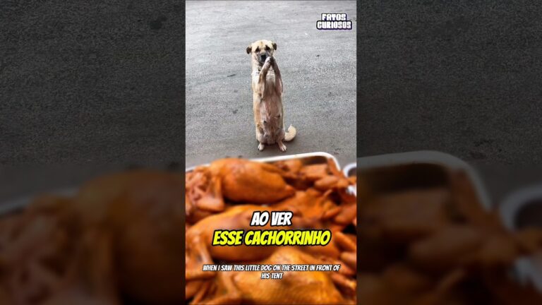 A BONDADE INESPERADA DESSE HOMEM DEIXOU A TODOS EMOCIONADOS