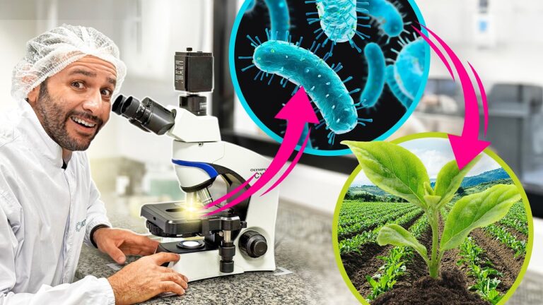 COMO são FABRICADOS os BIOINSUMOS? #Boravê