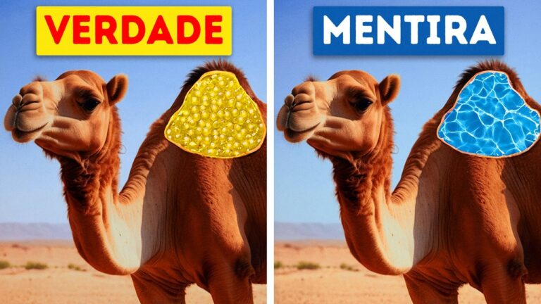 Mais de 50 Fatos Sobre Animais Que Nunca Nos Contaram nas Aulas de Biologia!