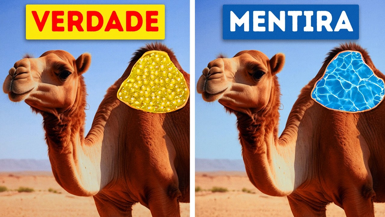 Mais de 50 Fatos Sobre Animais Que Nunca Nos Contaram nas Aulas de Biologia!