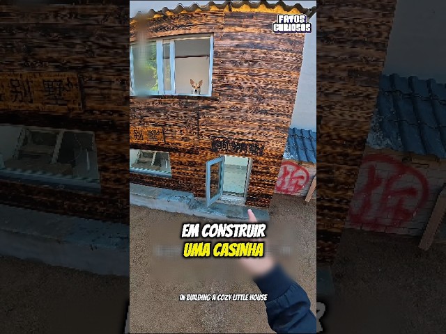ESSE GAROTO CONSTRUIU UMA PEQUENA MANSÃO INCRÍVEL PARA SEUS CACHORROS