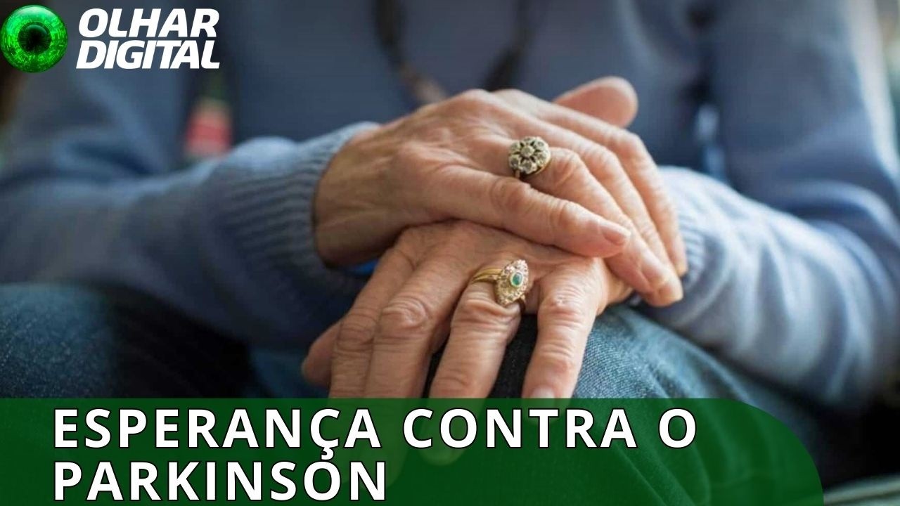 Japão aprova terapia com células-tronco para Parkinson