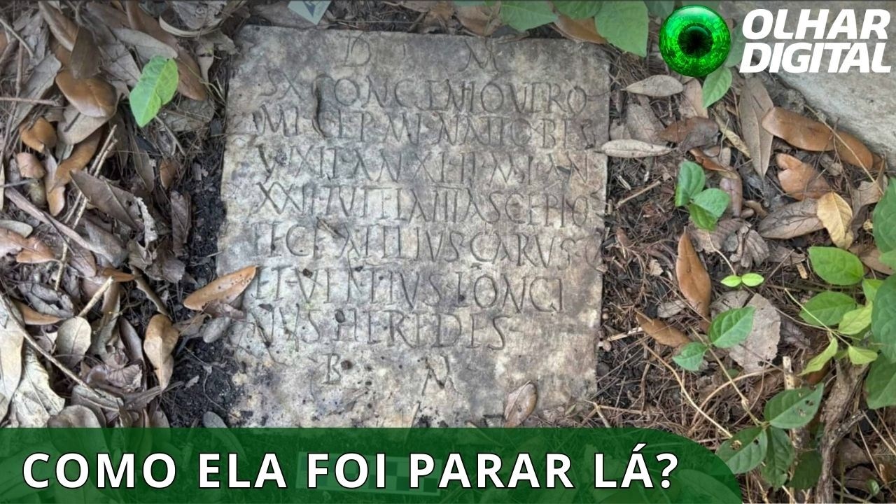 Lápide romana do século II é encontrada em jardim nos EUA