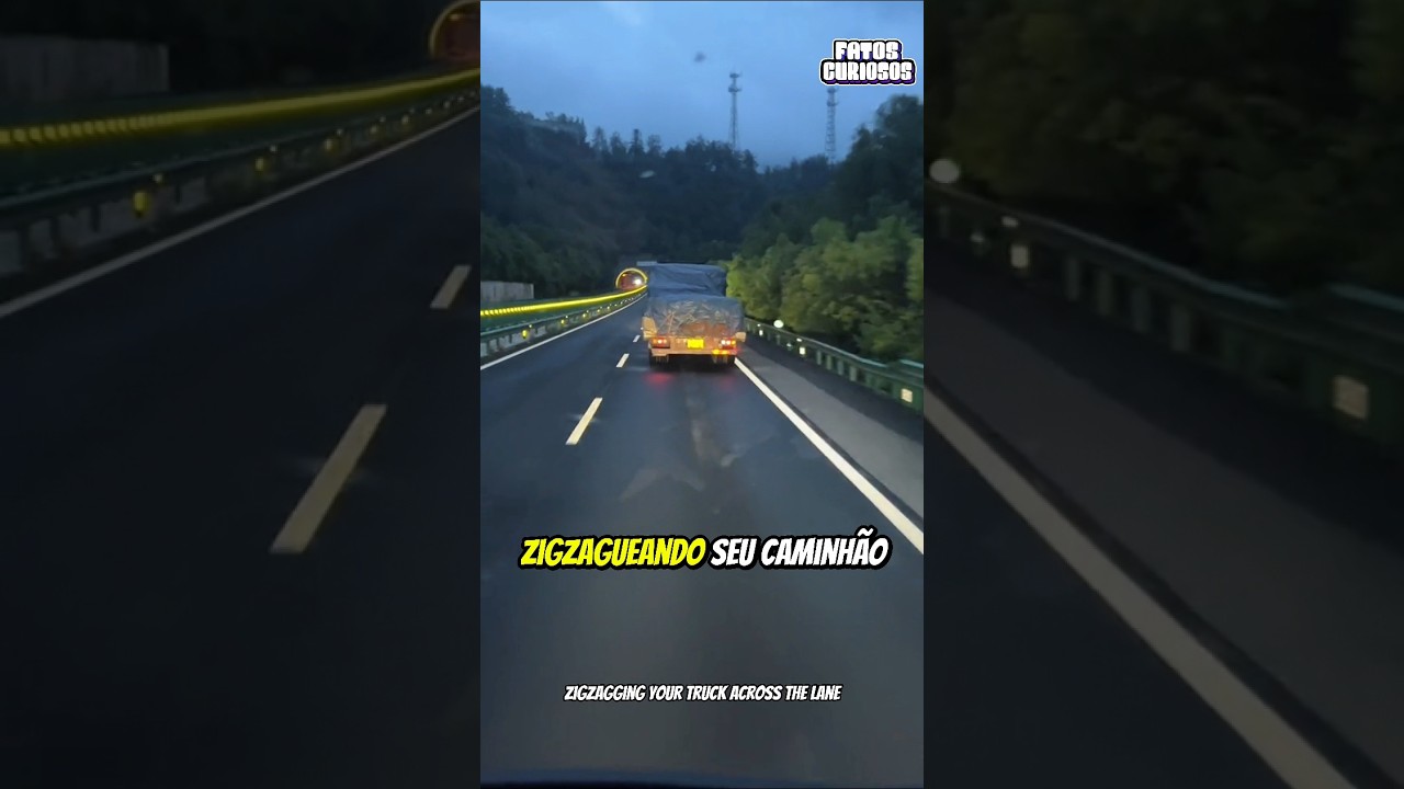 CAMINHONEIRO HERÓI SALVOU A VIDA DESSE MOTORISTA QUE ESTAVA COM BASTANTE SONO