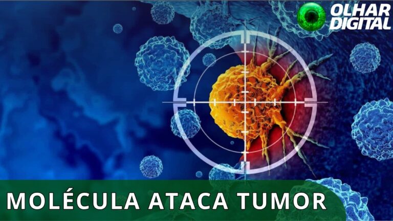 Novo tratamento experimental pode revolucionar combate ao câncer