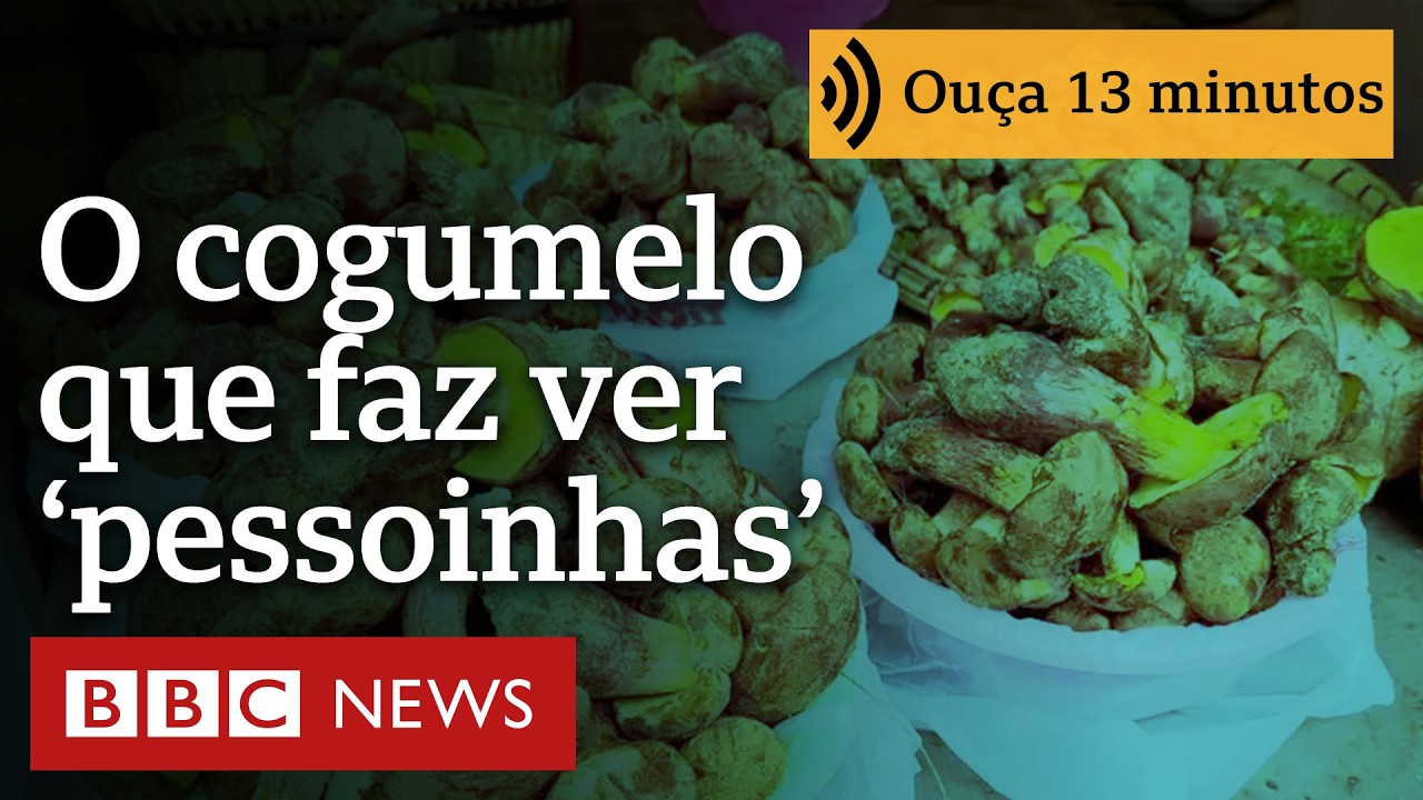 O misterioso cogumelo que faz as pessoas verem 'pessoinhas'