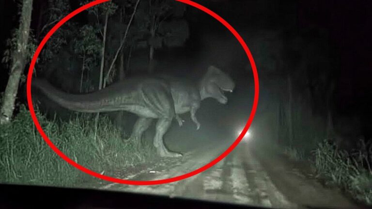 O último dinossauro que ainda pode estar vivo está no Congo