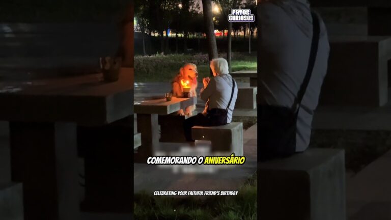O NOBRE GESTO DE AMOR DESSA SENHORA COM SEU CACHORRINHO EMOCIONOU A TODOS
