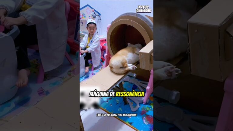 NINGUÉM APOIAVA O SONHO DESSA GAROTINHA ATÉ SEUS ANIMAIS ENTRAREM NA BRINCADEIRA