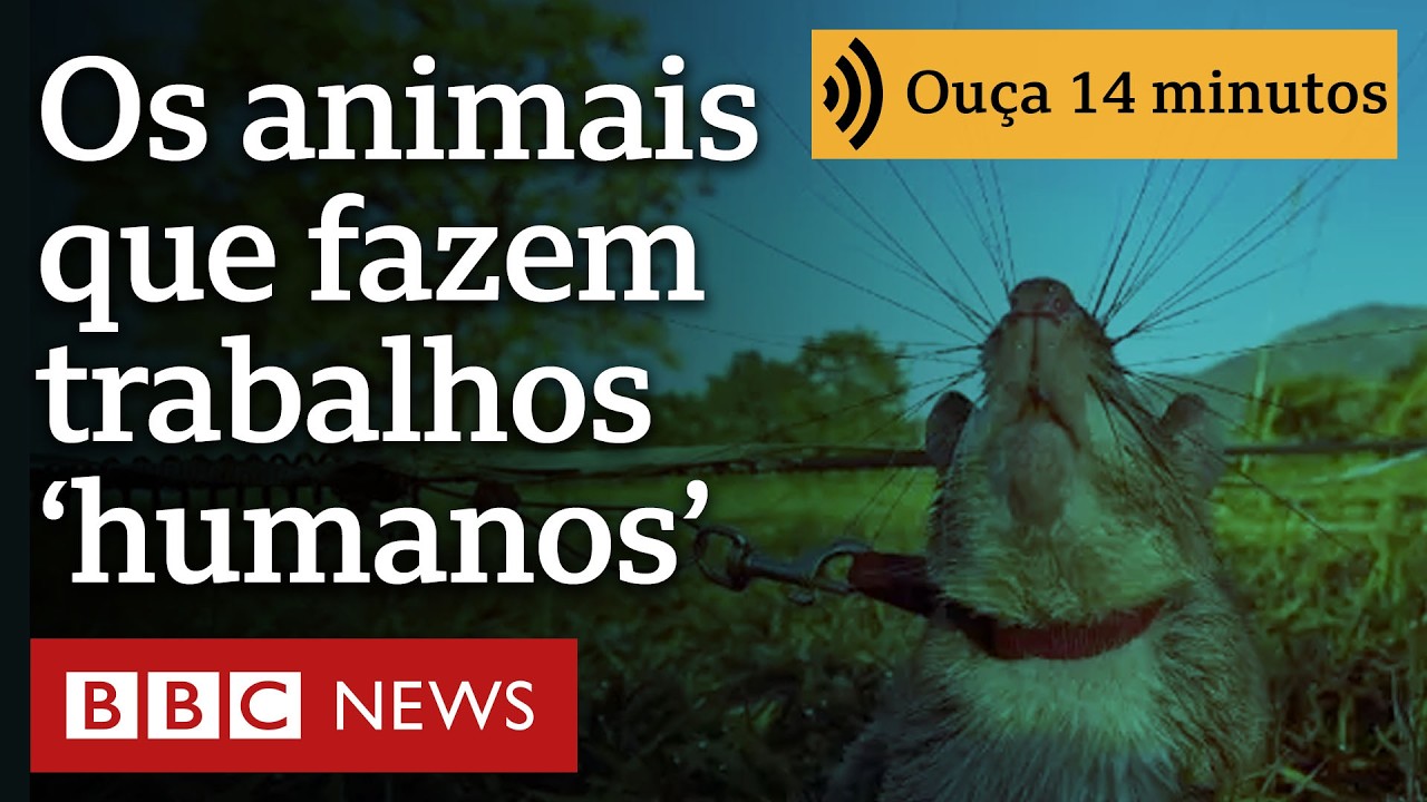 Os animais que realizam trabalhos que nem humanos ou robôs conseguem