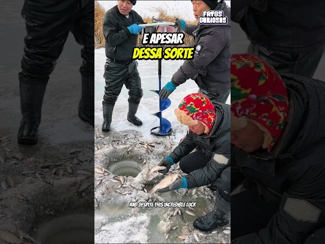 PESCADORES SORTUDOS ENCONTRAM PEIXES CONGELADOS NO LAGO