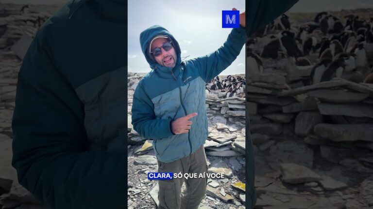 Por que o PINGUIM é PRETO e BRANCO?