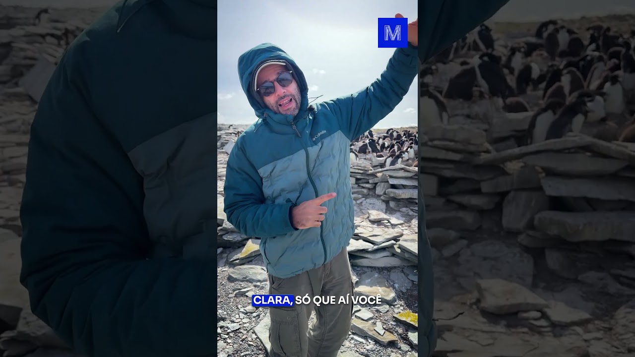 Por que o PINGUIM é PRETO e BRANCO?