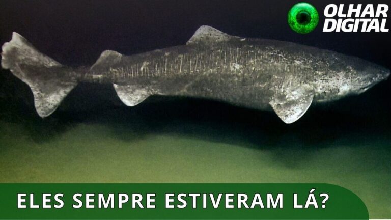 Registrado inédito é feito nas profundezas da Antártida