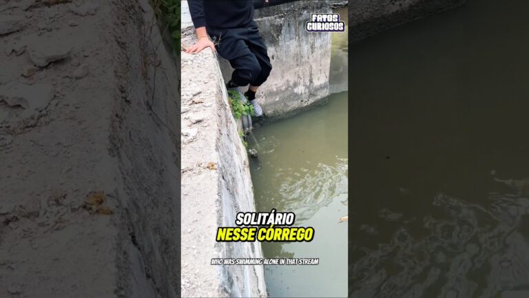 O NOBRE GESTO DE AMOR DESSE GAROTO MOSTROU QUE AINDA HÁ ESPERANÇAS NA HUMANIDADE