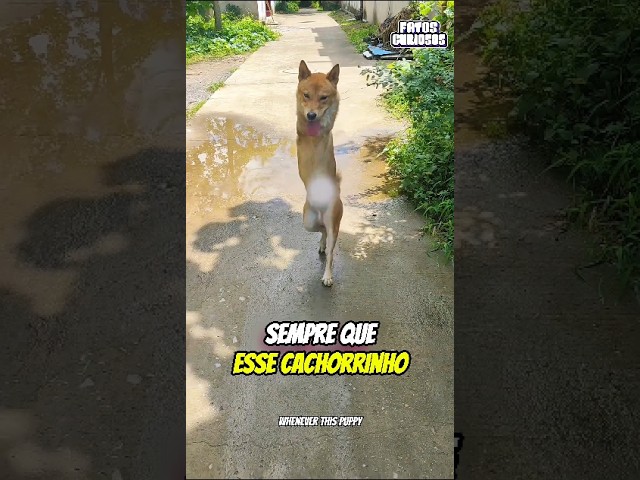 TODOS O REJEITARAM POR QUERER APENAS UM AMIGO 🥺