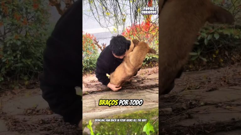 A NOBRE ATITUDE DESSE GAROTO AO SALVAR ESSE CACHORRINHO DEIXOU A TODOS EMOCIONADOS