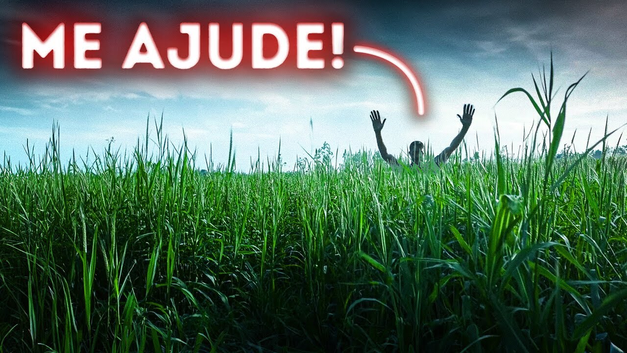 Um homem desapareceu em plena luz do dia - O que aconteceu naquele campo?