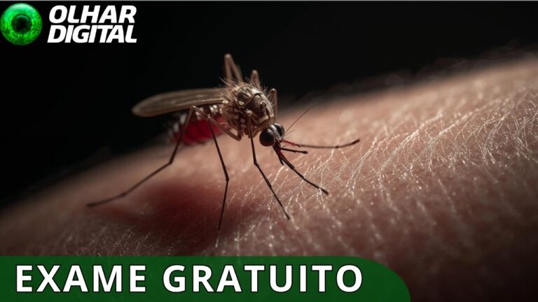 Uso de teste rápido no SUS vai ajudar a combater dengue