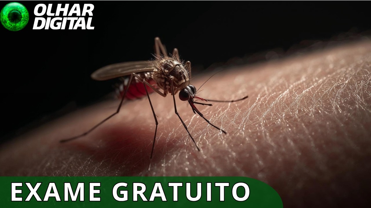 Uso de teste rápido no SUS vai ajudar a combater dengue