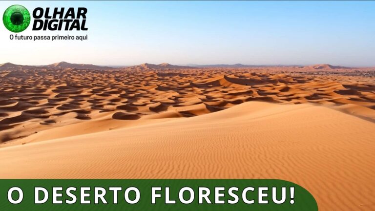 China transforma areia do deserto em solo fértil em 10 meses