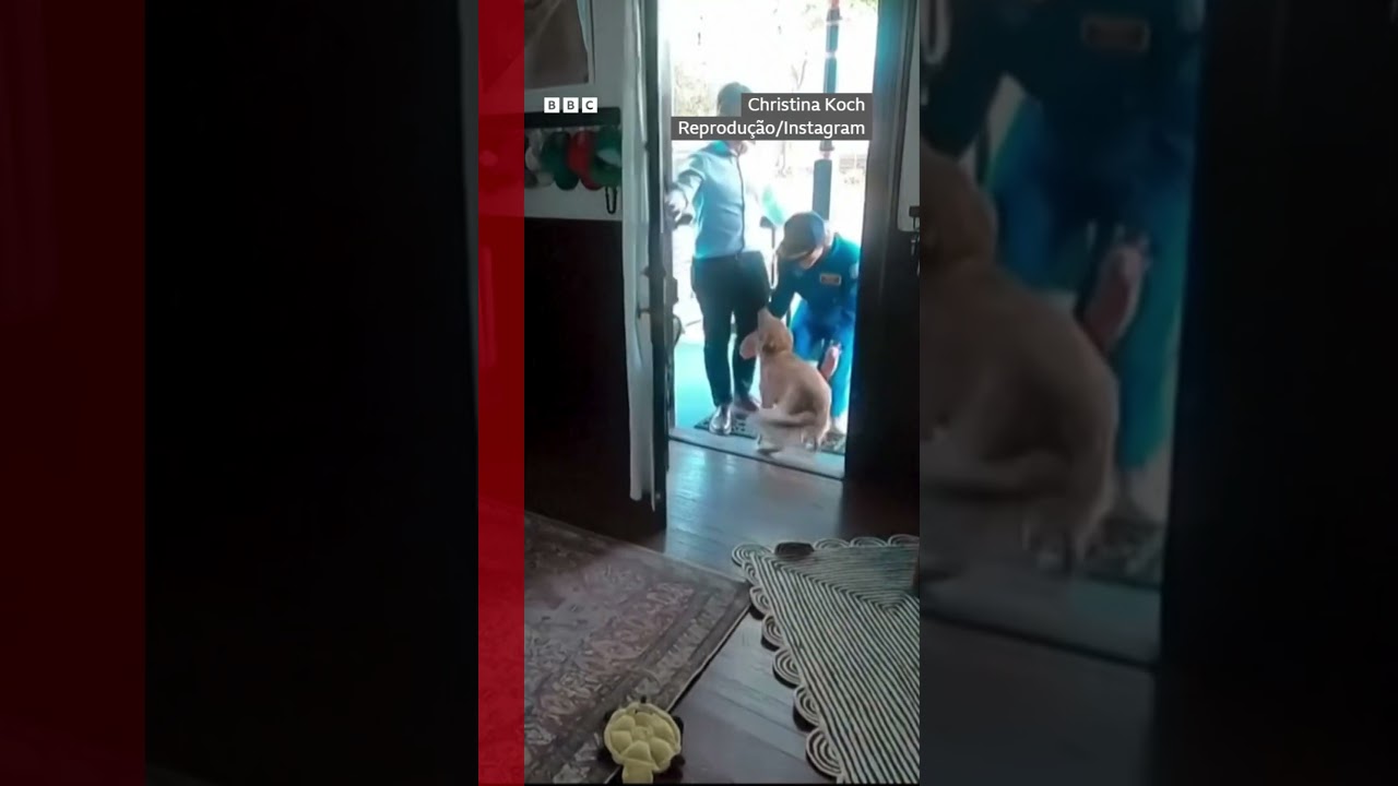 Astronauta da missão Artemis 2 reencontra sua cachorra Sadie após retornar à Terra após missão